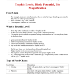 Environment and Biodiversity