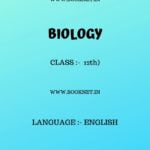 NCERT OLD ART AND CULTURE