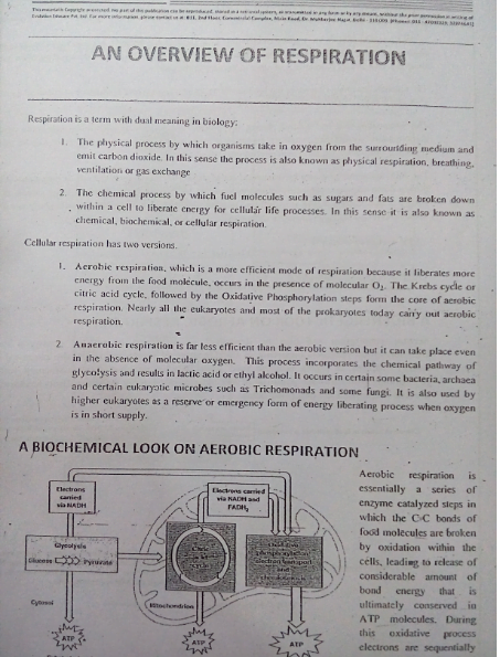 Zoology Optional Printed Notes By Evolution - BookNet